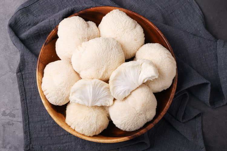 Unlocking the Potential: Exploring the Benefit of Lion's Mane Mushroom